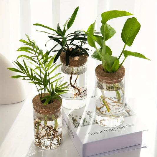AquaRoot™ Glass Planter