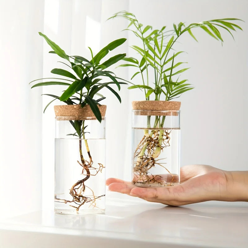 AquaRoot™ Glass Planter